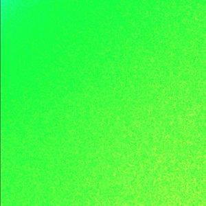 Meet your Posher, Dina